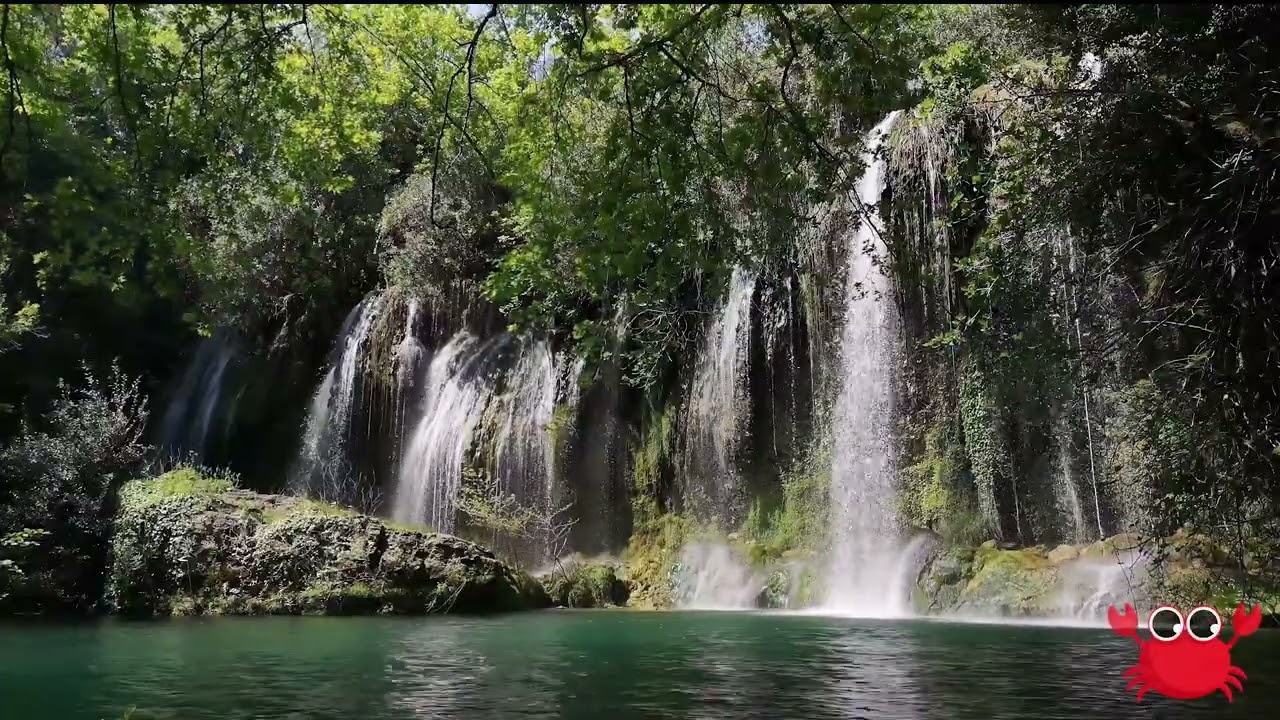 Tropical Summer vibes background - 1 hour long - Chill music/party