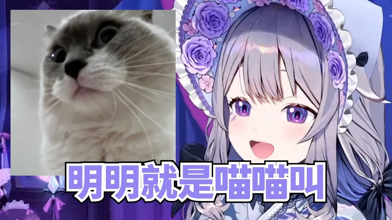 Biboo對日本的貓咪擬聲詞感到問號【Koseki Bijou】【Hololive/ホロライブ】【vtuber中文字幕】