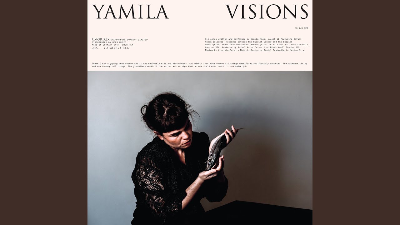 Visions V