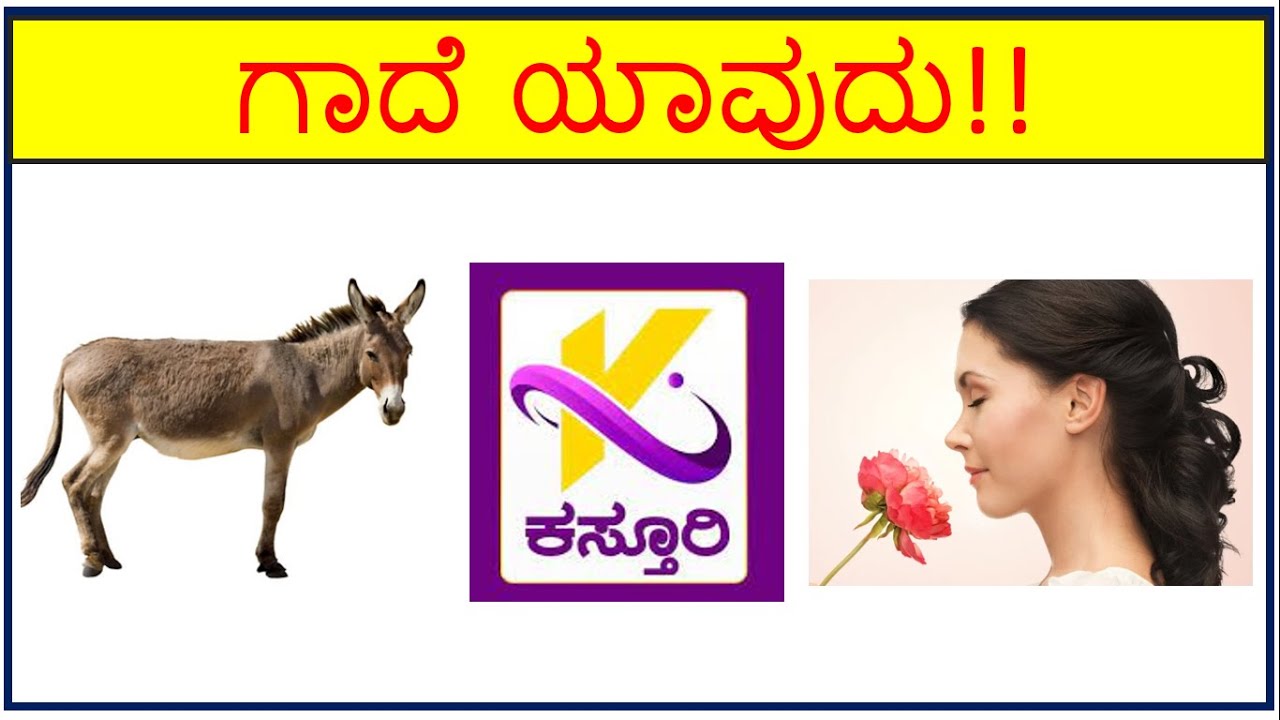 Kannada Gadegalu|Guess Kannada Proverbs|Learn With Fun|ಚಿತ್ರನೋಡಿ ಗಾದೆ ಹೇಳಿ |Time Pass|Part04