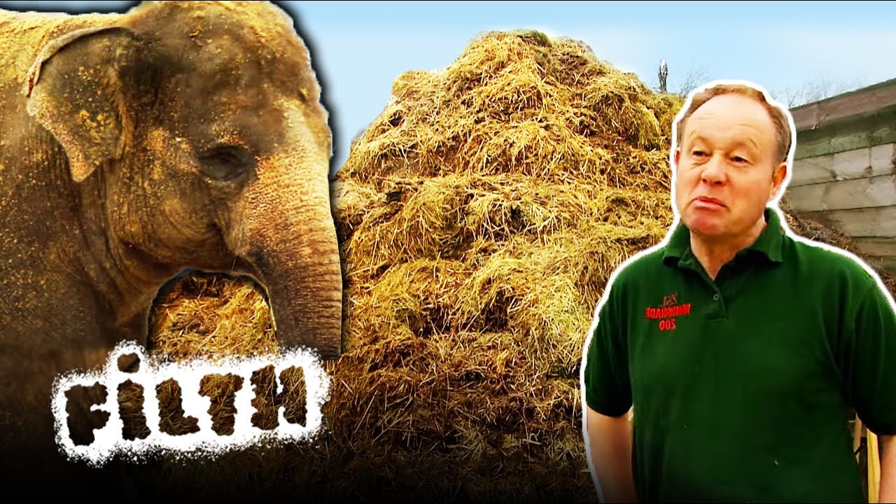 A Day In The Life of a Zoo Keeper | Filth