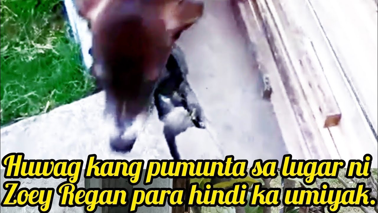 Huwag kang pumunta sa Lugar ni Zoey Regan para hindi ka umiyak @Pinoykatvofficial