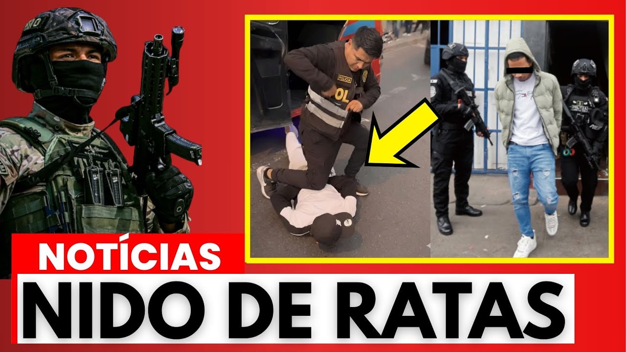 🛑PNP DERRIBA BÚNKER DEL HAMPA: 147 capturados en Los Olivos