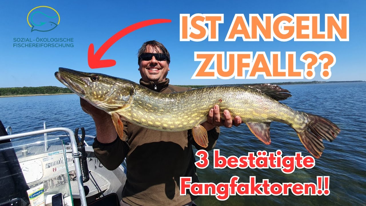 Ist Angeln Zufall? 3 wissenschaftlich bestätigte Fangfaktoren! IFishMan Insights #3