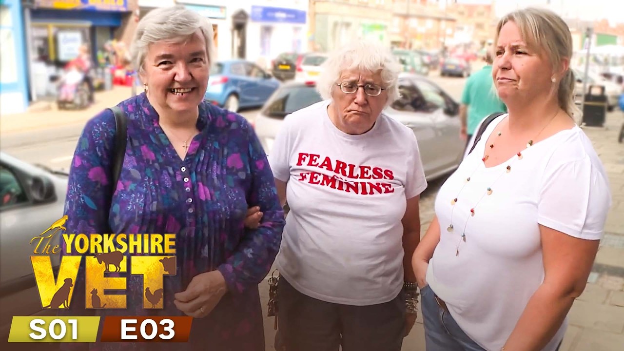 The Yorkshire Vet Countryside Specials Season 1 Episode 3 | Full Episode