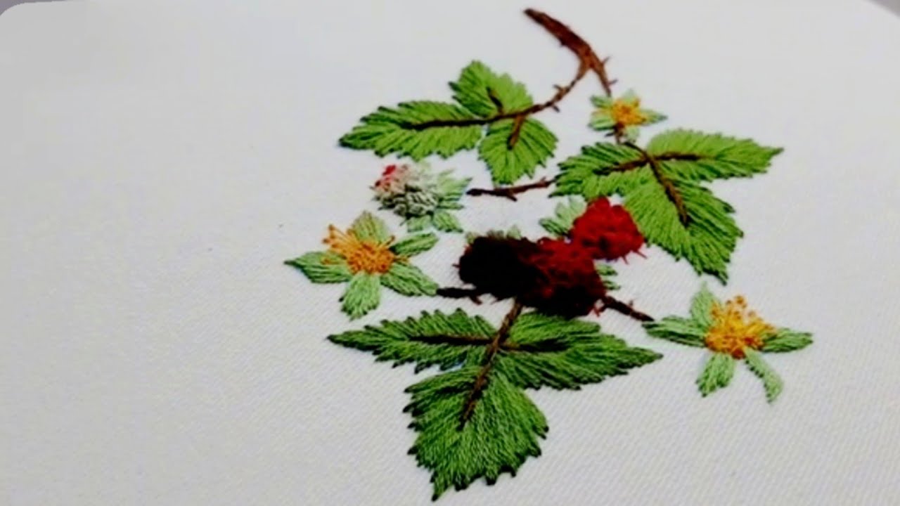 here to learn hand embroidery in a simple way|wildraspberry