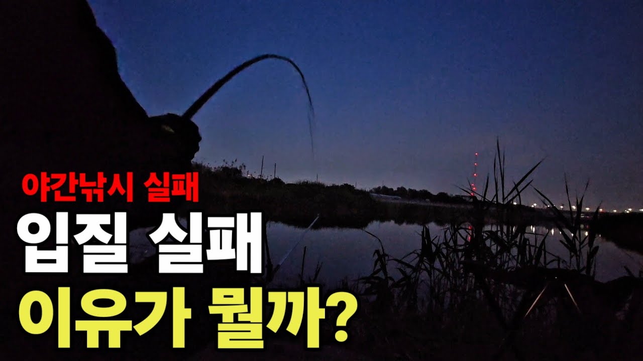야간 낚시 실패했습니다. 이유가 뭘까요? [낚시 수영 ep.4]