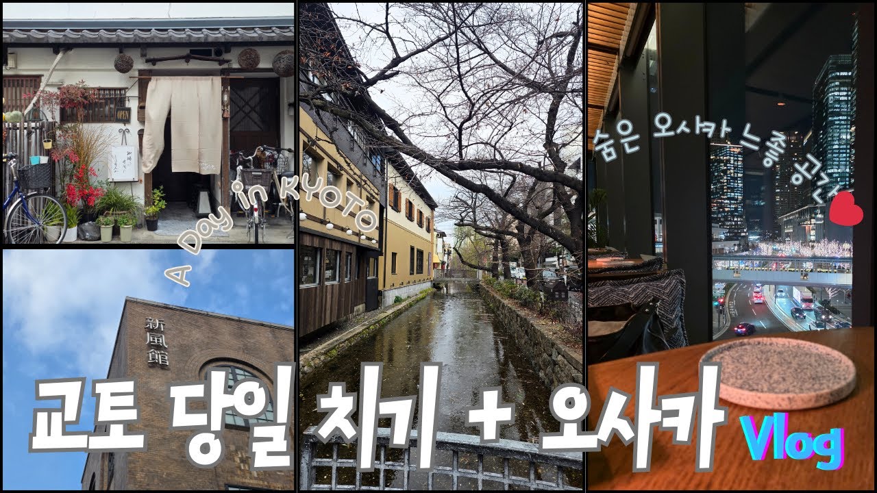 꿈 같던 교토의 반나절과 오사카 느좋 플레이스 추천, 현지인 명소만 골라 다닌 오사카교토 여행 vlog 2일차