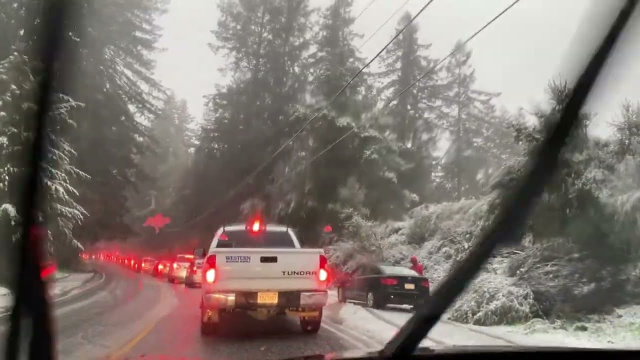 Snow In Santa Cruz Mountains on 02- 24- 2023