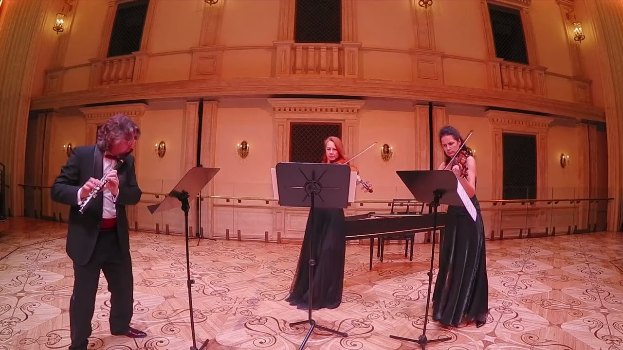 Людвиг ван Бетховен. Серенада для флейты, скрипки и альта ре мажор, ор. 25