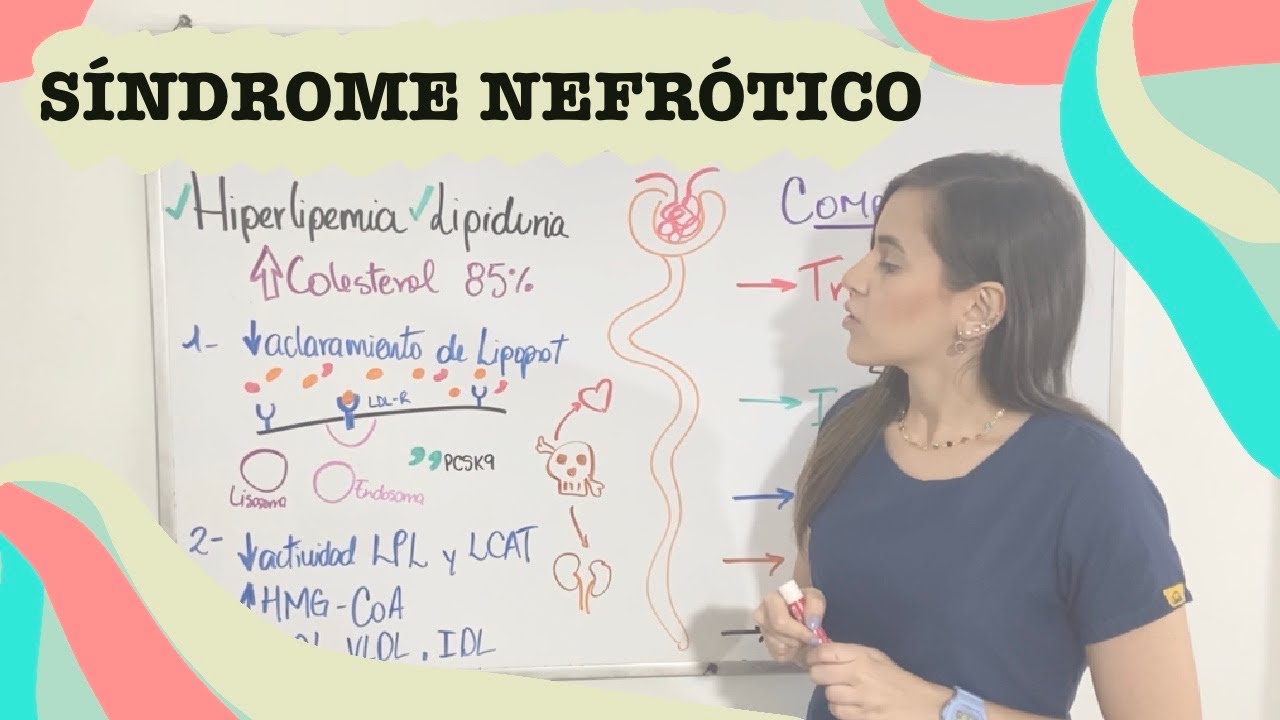 Continuación fisiopatología del síndrome nefrótico - parte 2