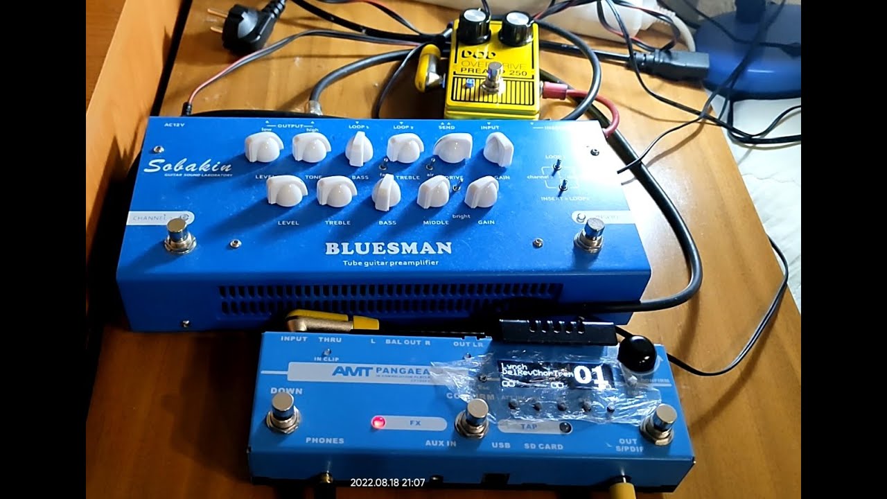 Sobakin Bluesman