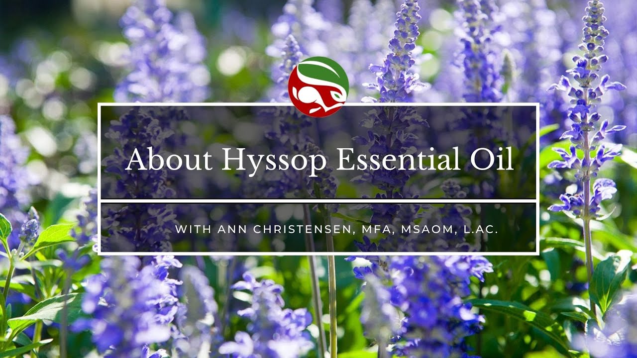 About Hyssop Essential Oil