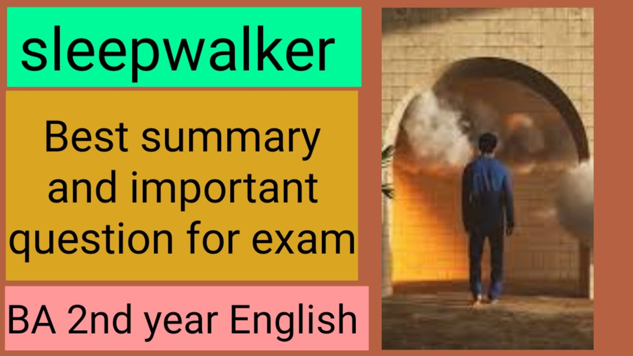 The Sleepwalker by Nissim Ezekeil\ Summary #ba2ndyear