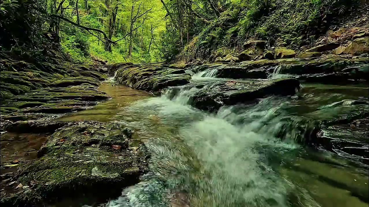 Deep Rest with a River Hidden in the Forest