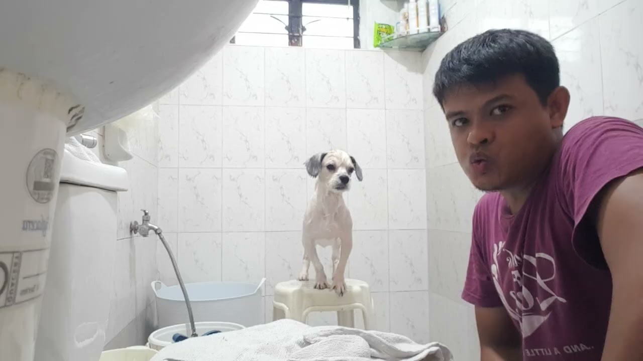 NAKALIGO KASI MABAHO NA SI POTPOT