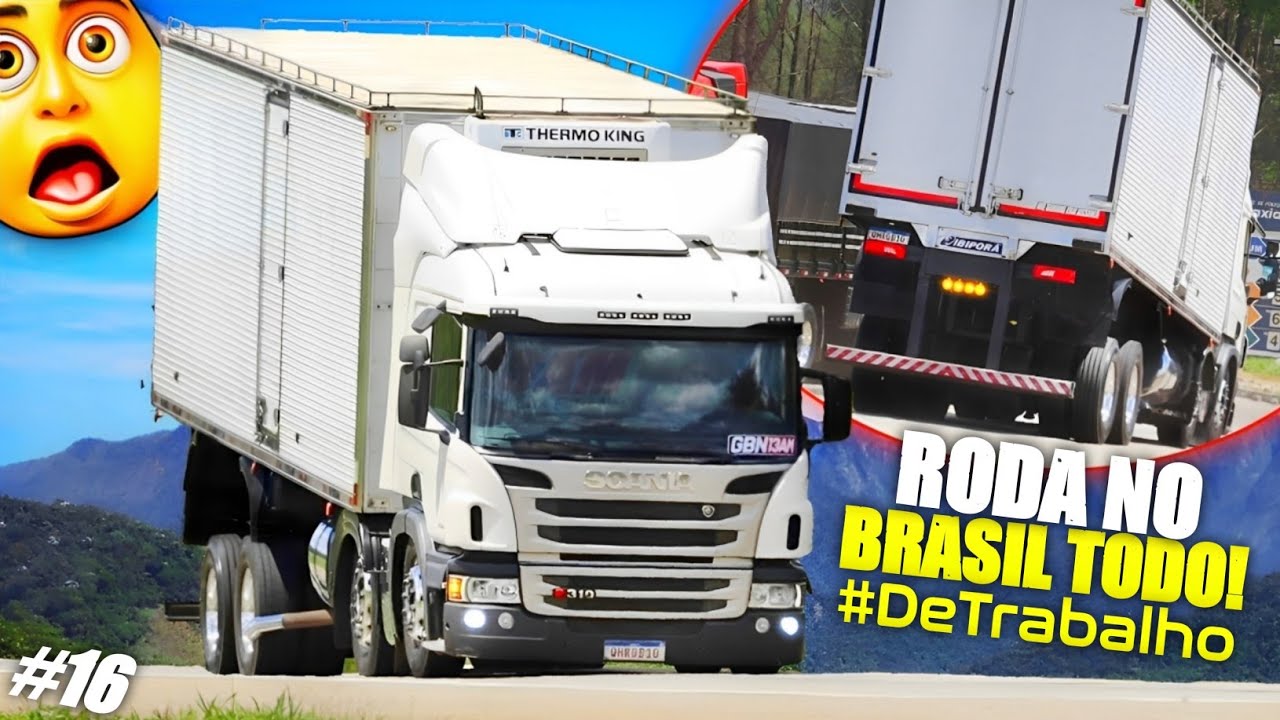 COMO O MOTORA É CAPAZ DE FAZER ISSO? - ARQUEADO FORA DO PADRÃO DA 116 |AS FÉRIAS DE UM FLOGUEIRO|#16