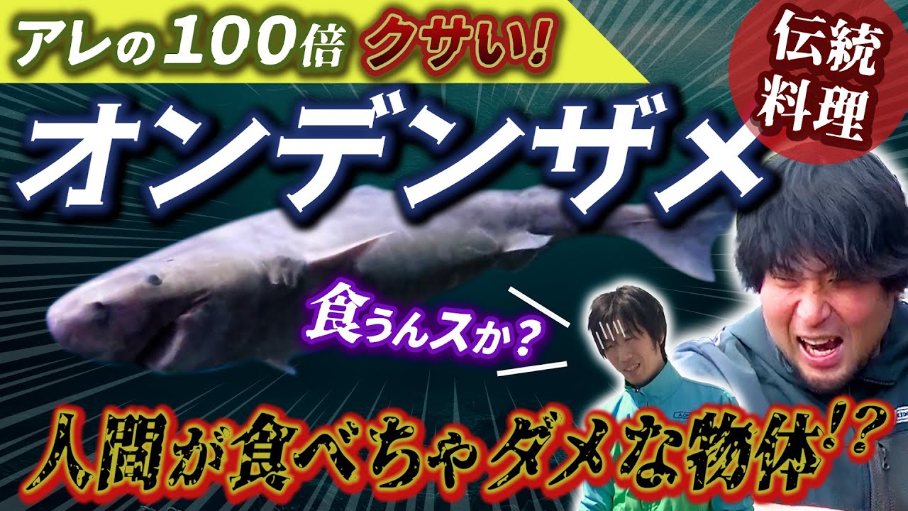 【深海生物クッキング】オンデンザメ食べてみた