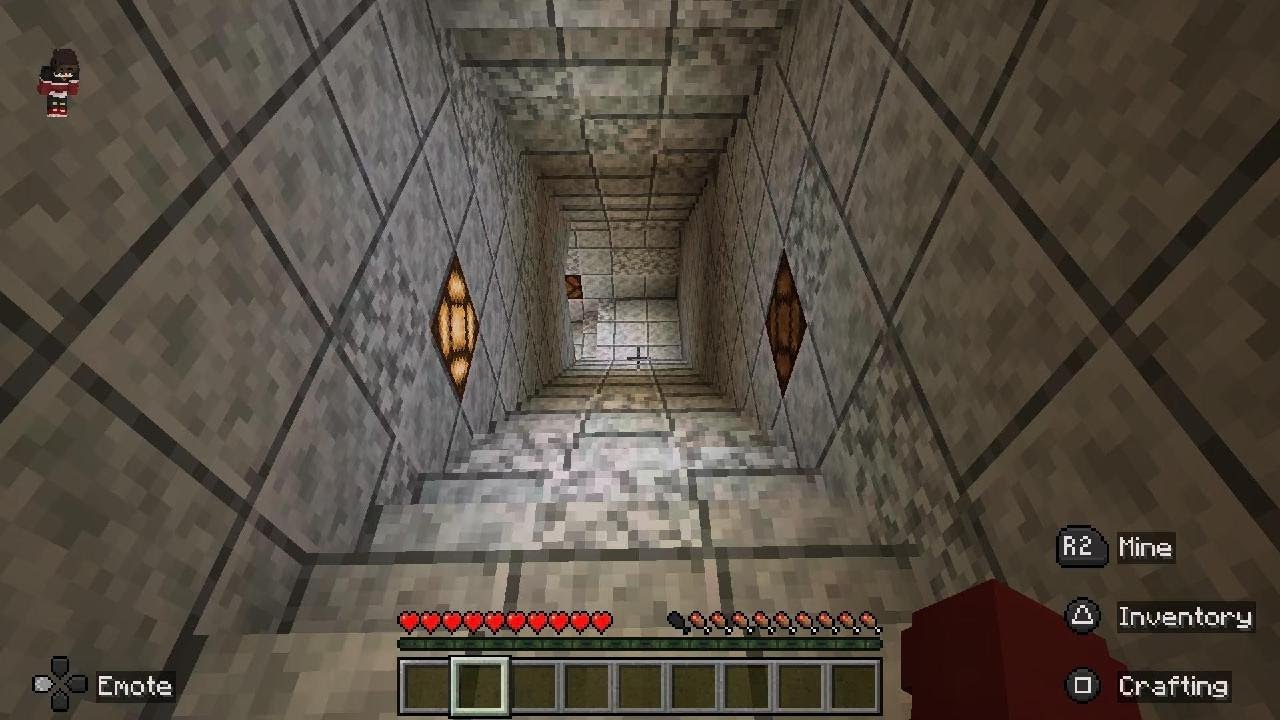 I just wanted to play normal Minecraft.