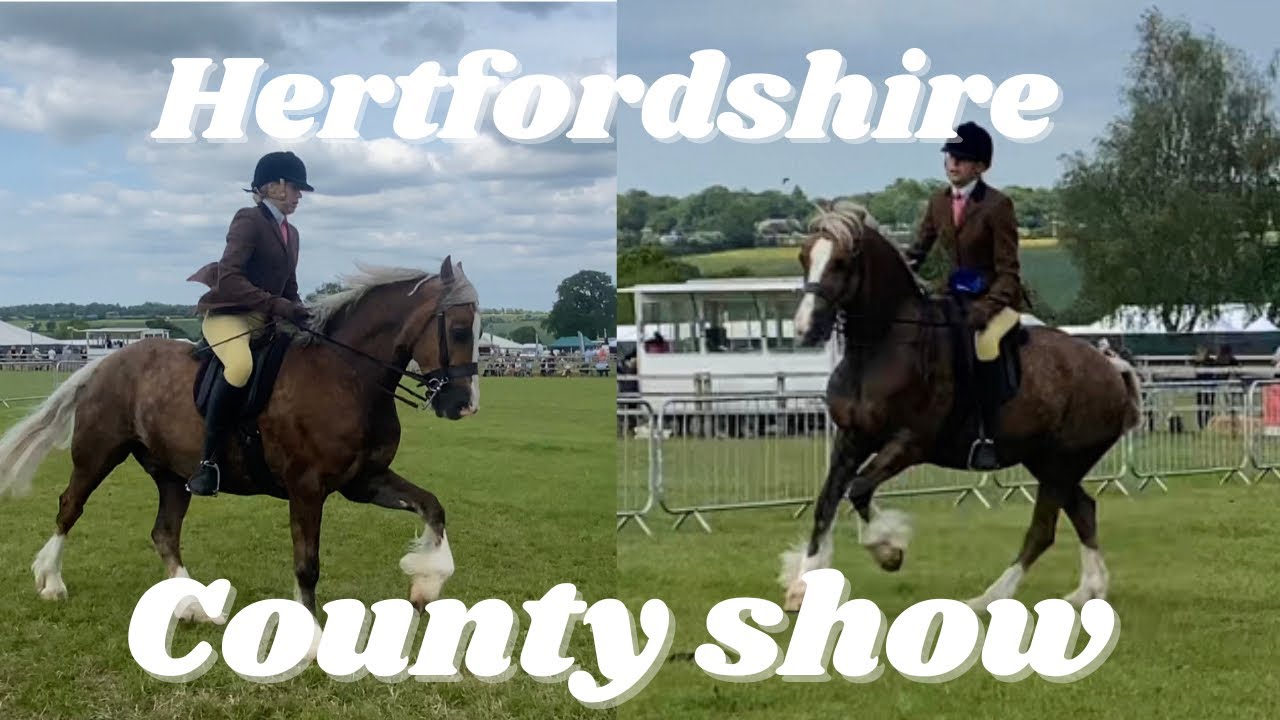 HORSE SHOW VLOG Hertfordshire county show 2023 welsh section C & D ridden showing