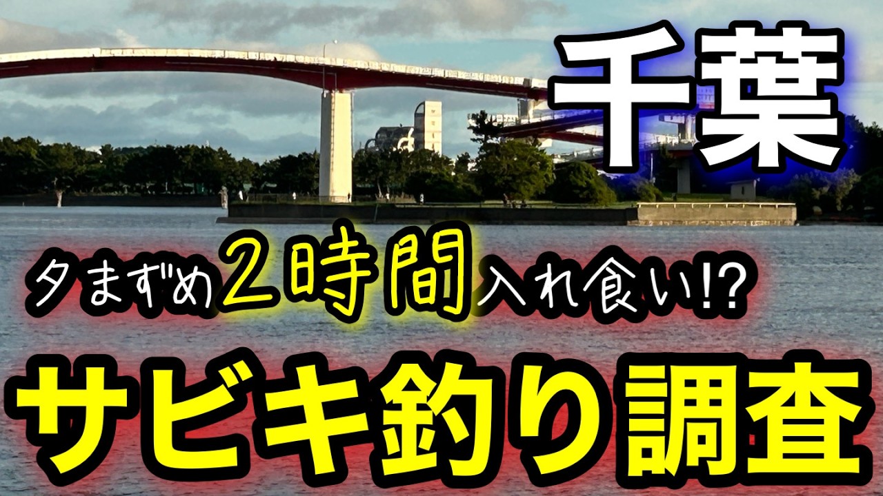 【東京湾】夕まずめの2時間が釣れ過ぎる⁉︎初夏のサビキ釣り調査🎣