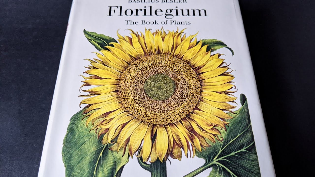 Beautiful Book Review | Florilegium - The Book of Plants by Basilius Besler | Taschen Universalis