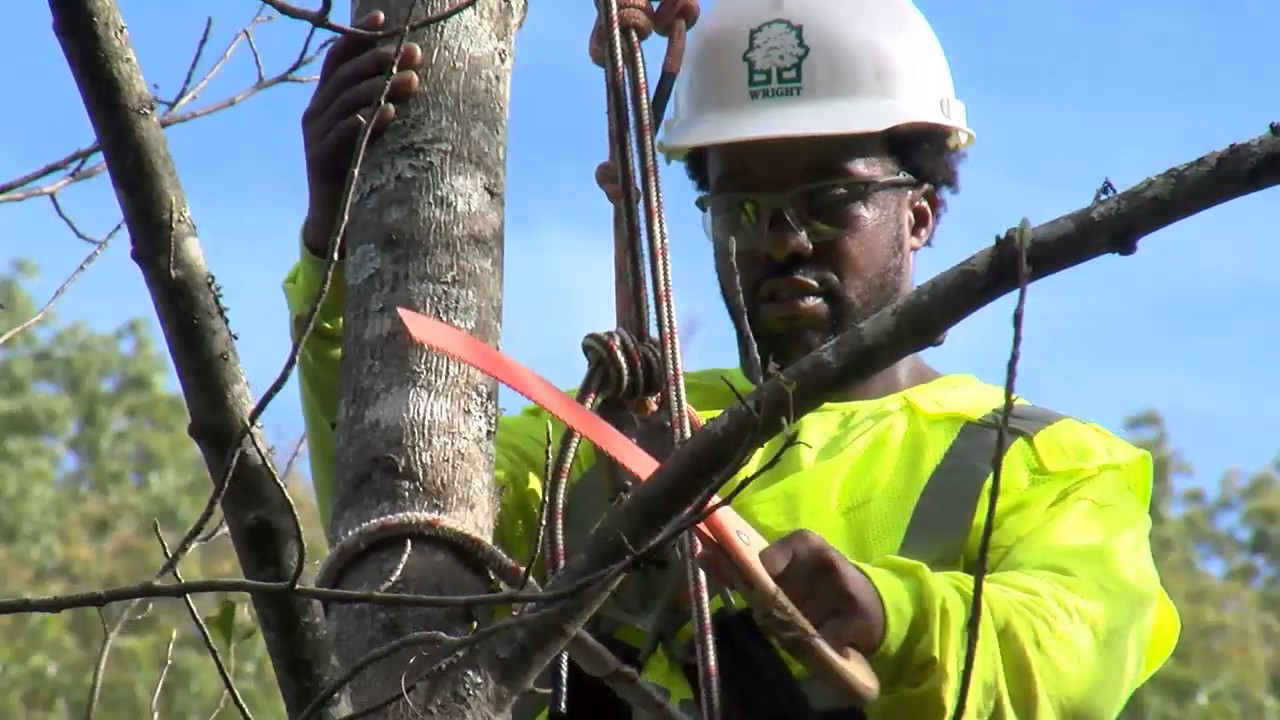 Electrical Hazard Awareness
