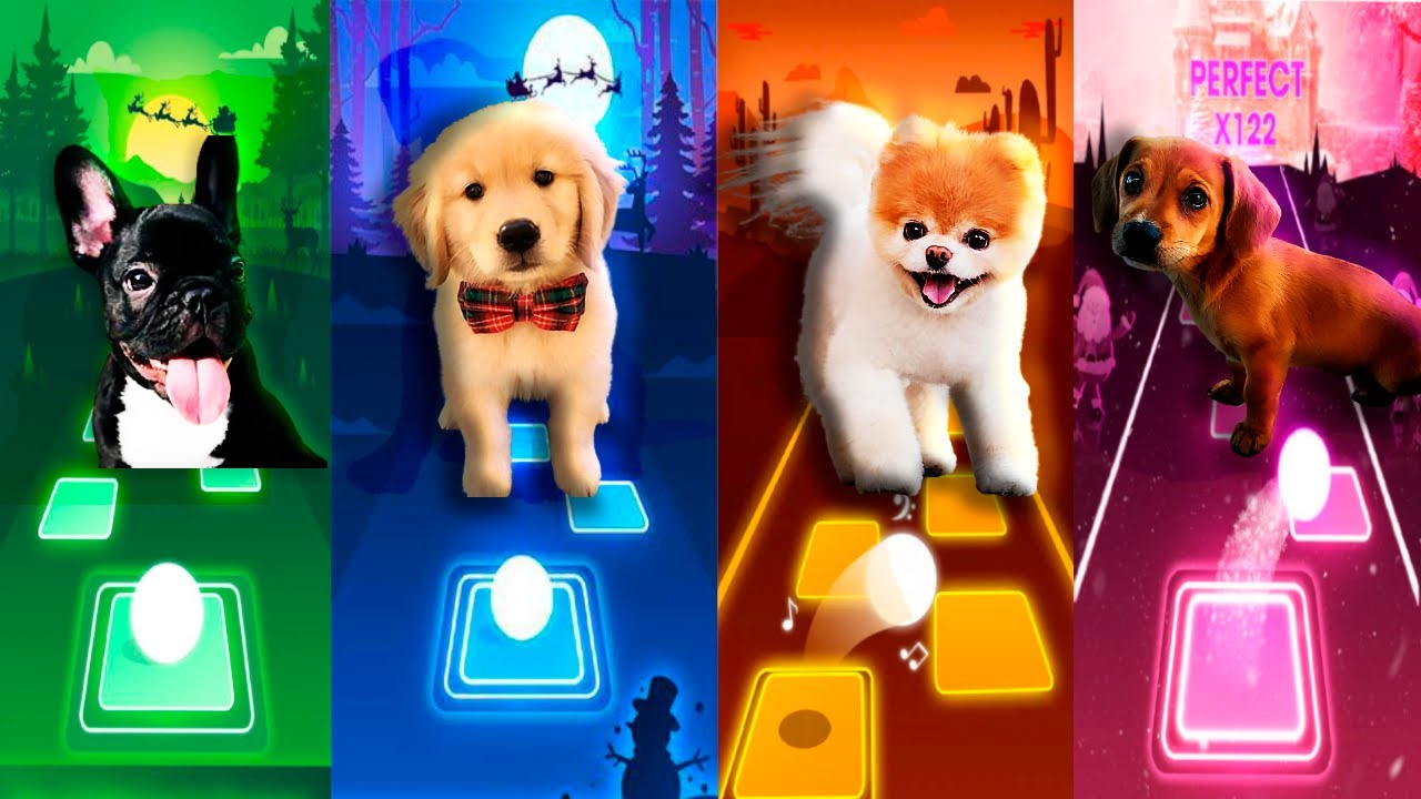 Cute Dogs - Dancing Dogs WAKA WAKA Bloody Mary Enemy - Tiles Hop EDM Rush