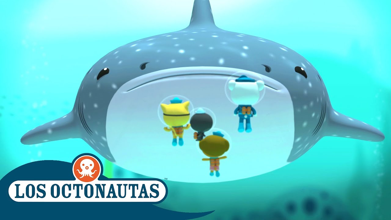 Los Octonautas Oficial En Español - El tiburón ballena y la ballena jorobada albina