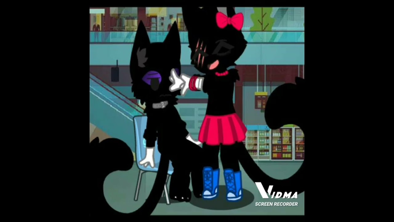 cartoon cat e female cartoon cat (O MEU R@BO!)