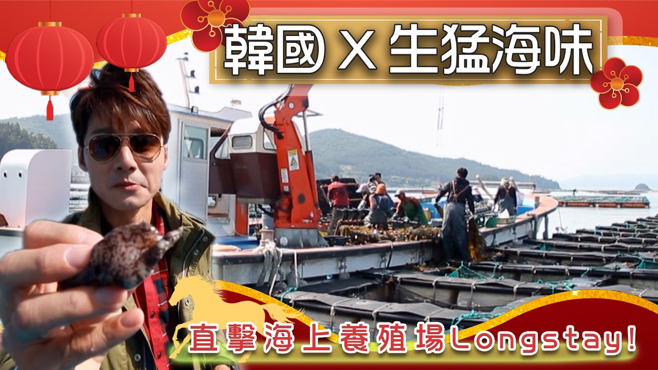 【2026新春特輯】挑戰最「海派」的韓國新年！直擊海上養殖場Longstay：國寶大鮑魚、海鞘刺身吃到爆！｜South Korea／Jeolnam-do／Seafood｜#廖科溢