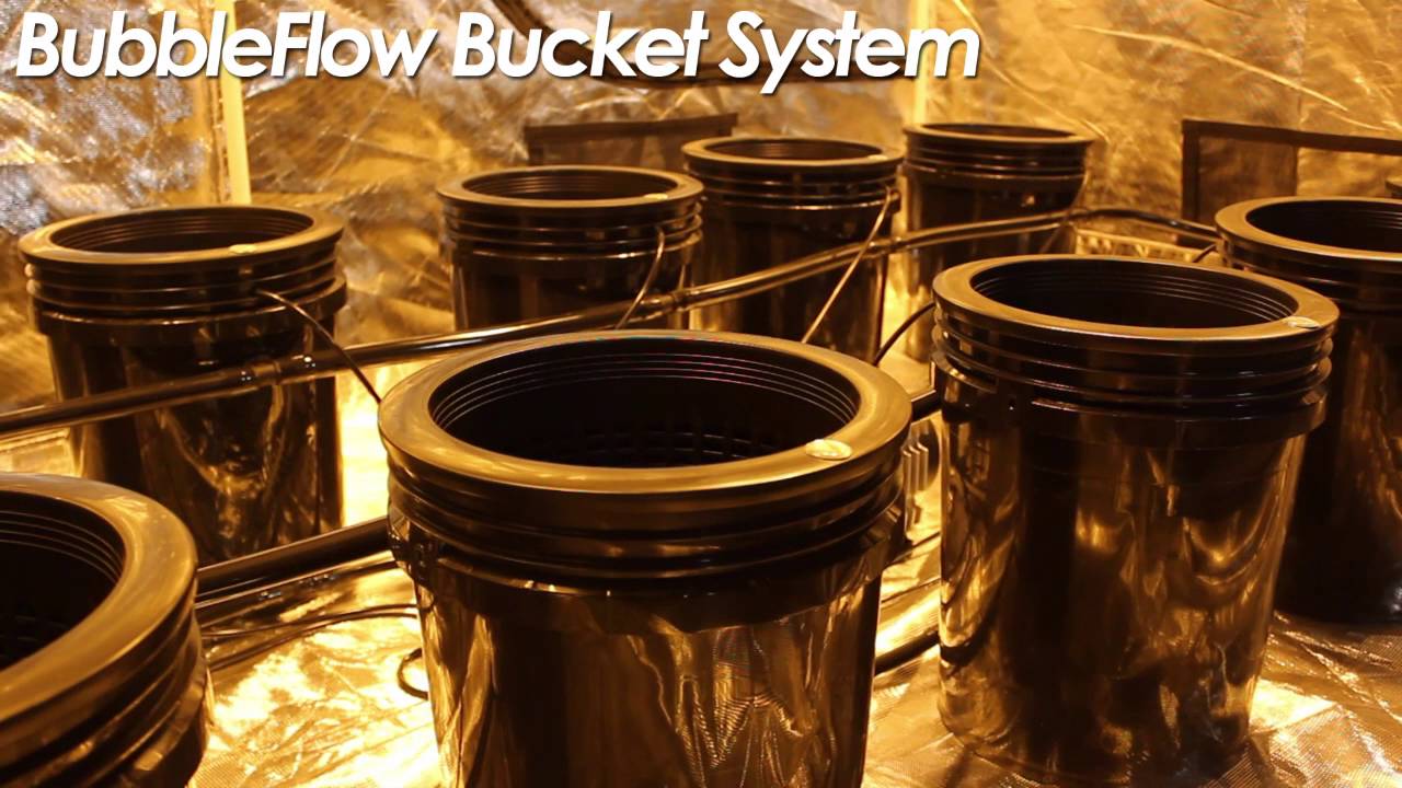 HPS  5x9 SuperRoom Indoor Grow Tent Complete Set Up by SuperCloset