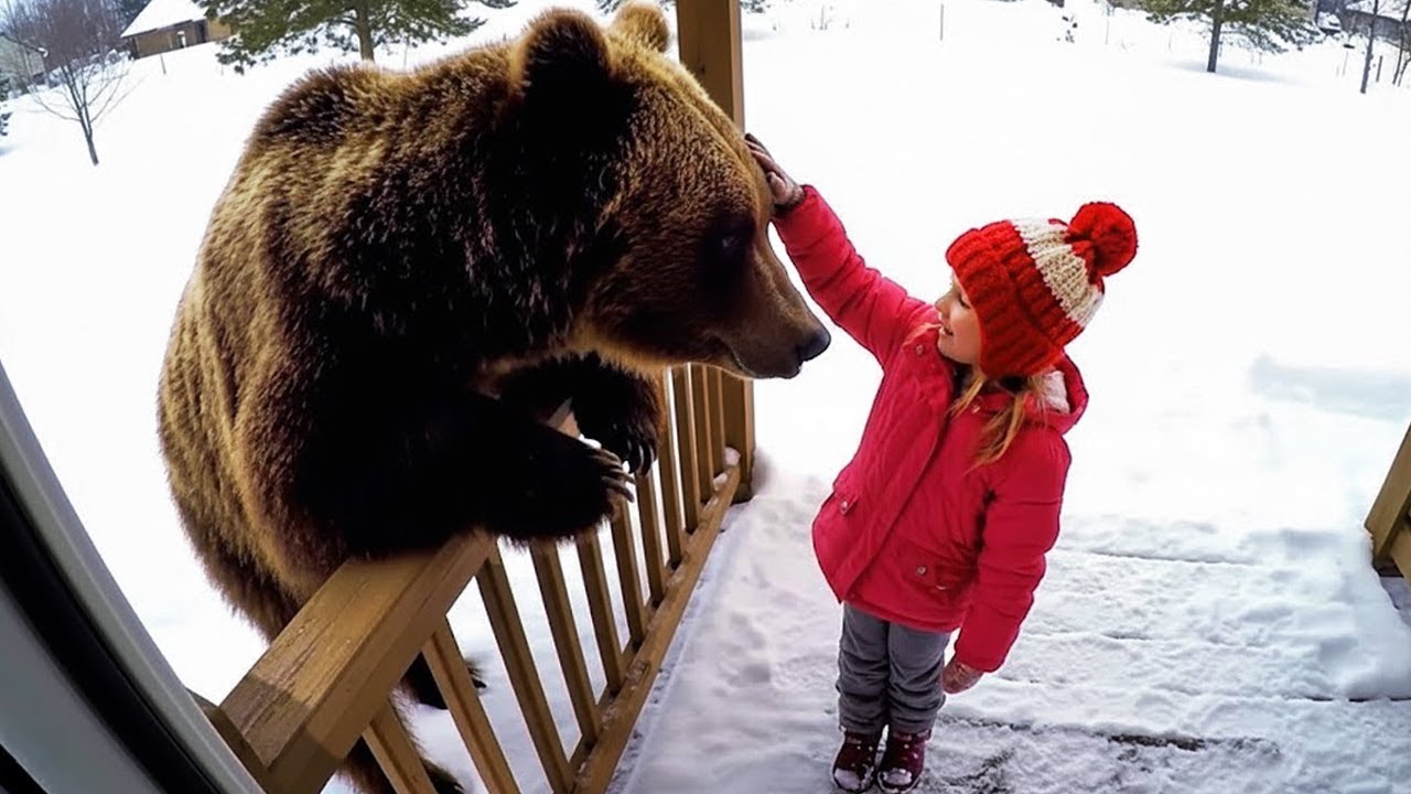 Animals Being the Politest and Funniest Will Make You Say “Aww” 😍