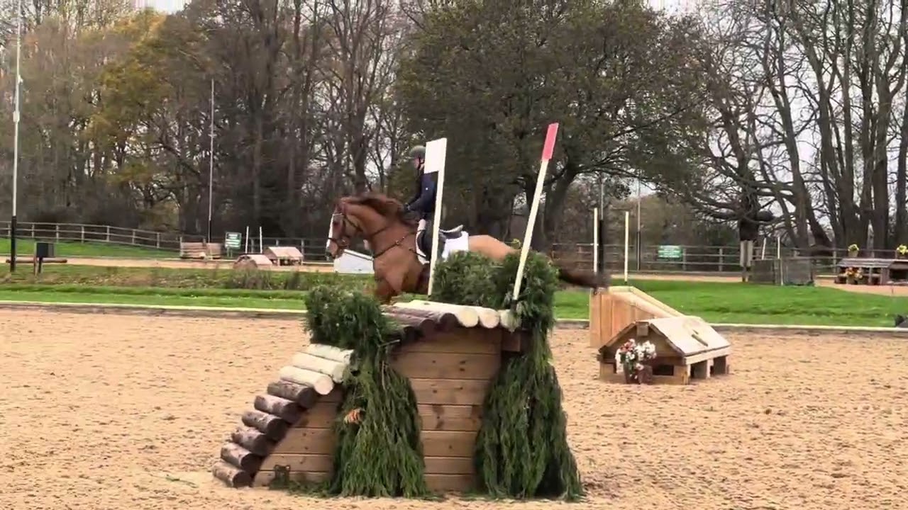 For sale: Captain XC Schooling