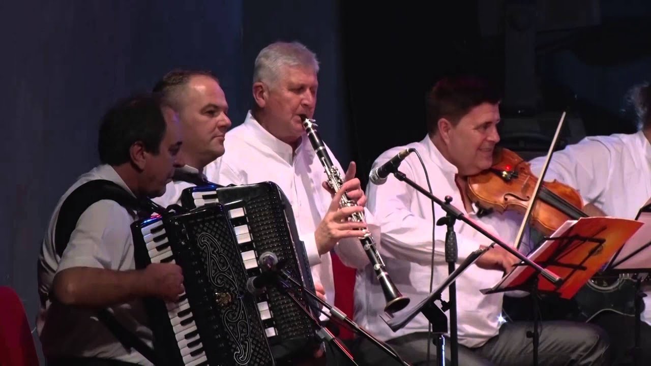 Bahrija Hadžialić Koncert 3 U Gradišci na obali Save