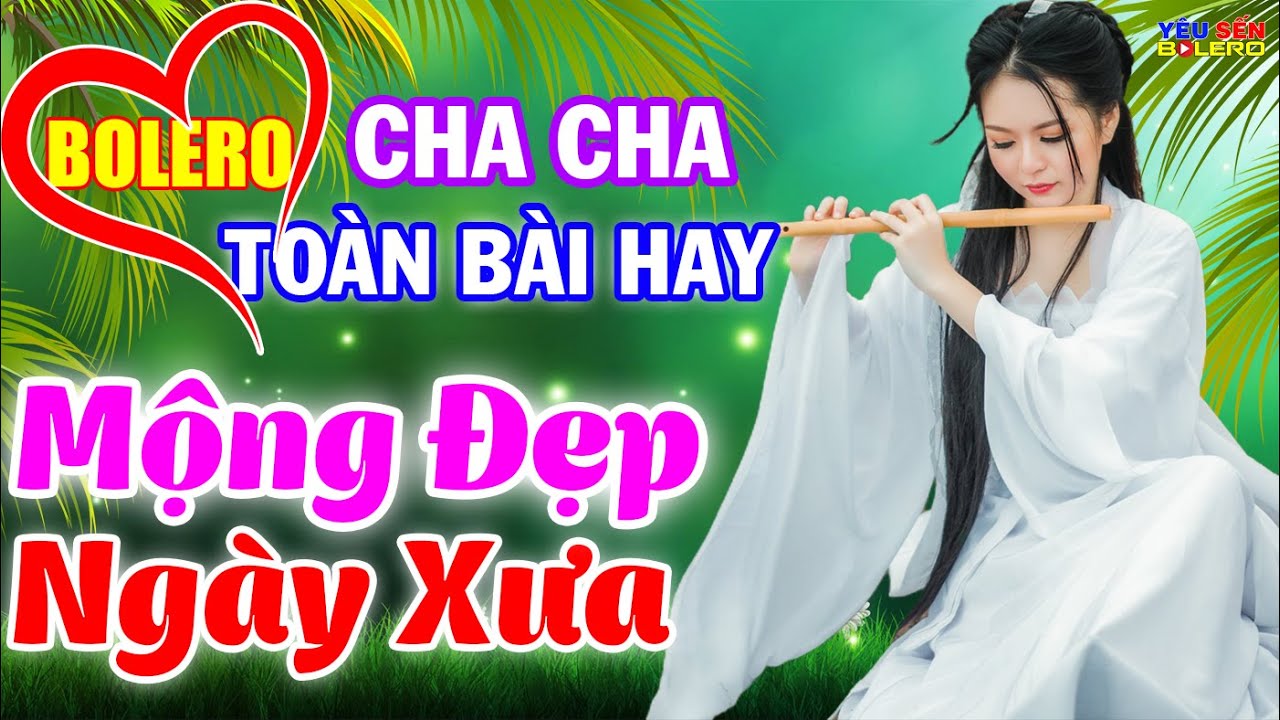 LK Cha Cha Cha Bolero Toàn Bài Hay, Phối Mới Cực Chuẩn, Làng Trên Xóm Dưới Phê - Mộng Đẹp Ngày Xưa
