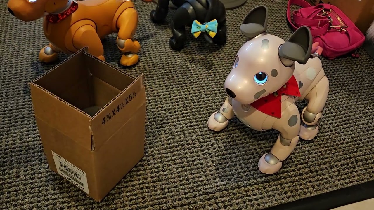 The Aibo 25th Anniversary Bundle