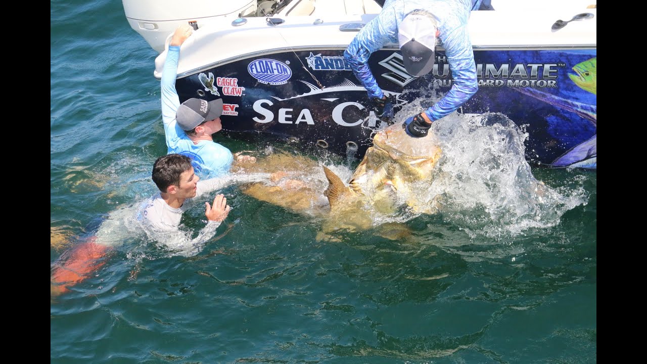 Fishing for GIANT Goliath Grouper in Stuart, Florida
