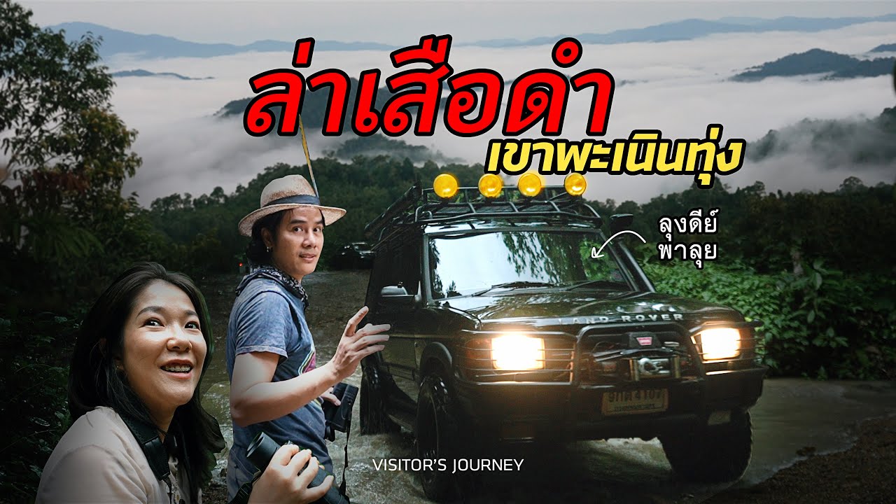 ตามล่าหาเสือดำ!! 