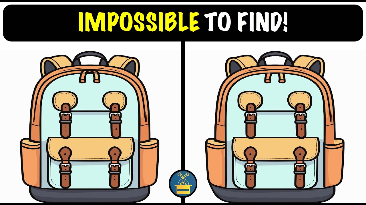 Spot the Difference Puzzles ! (HARD) | IMPOSSIBLE TO FIND!