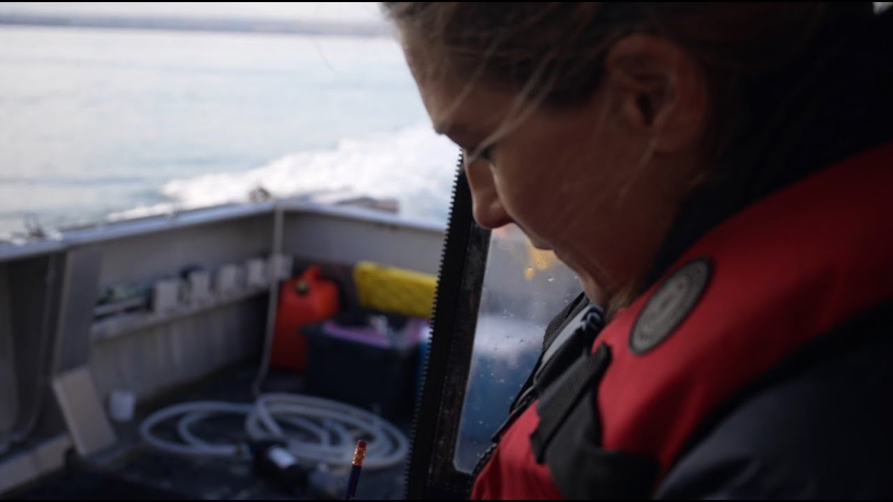 Pollution Tracker: A Decade of Researching Contaminants in B.C.