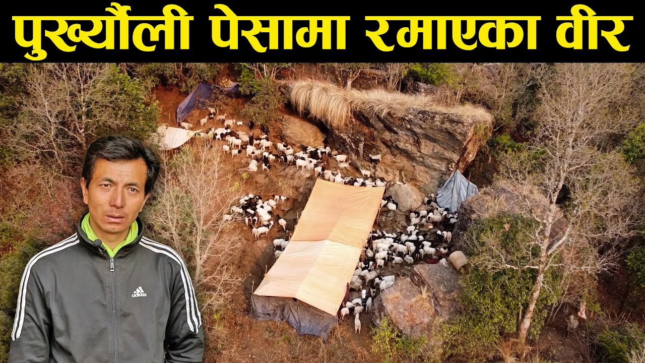 साथीहरुको कहानी सुनेर विदेश जान मन लागेन : वीर बहादुर गुरुङ