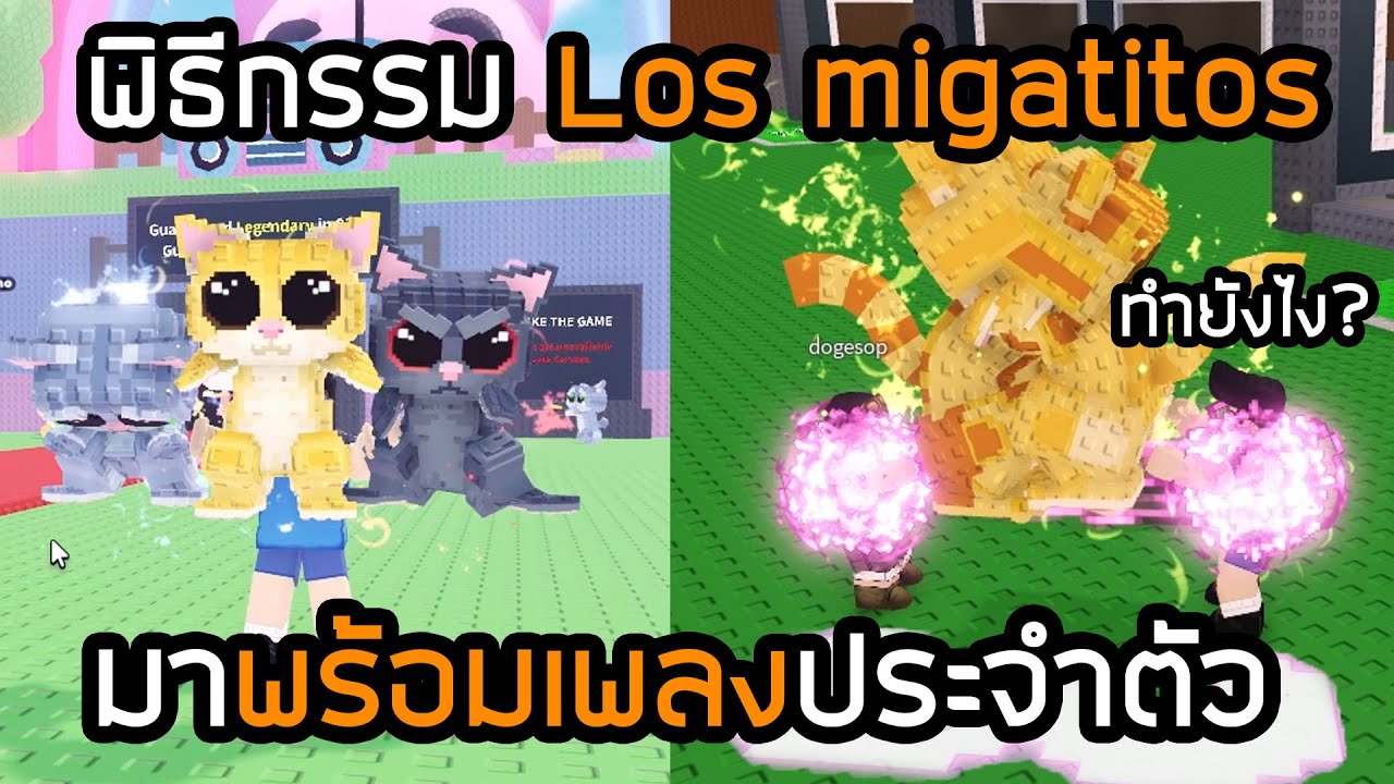 พิธีกรรมแมวลับใหม่ Los Mi Gatitos😺ทำยังไง? Steal a Brainrot !!