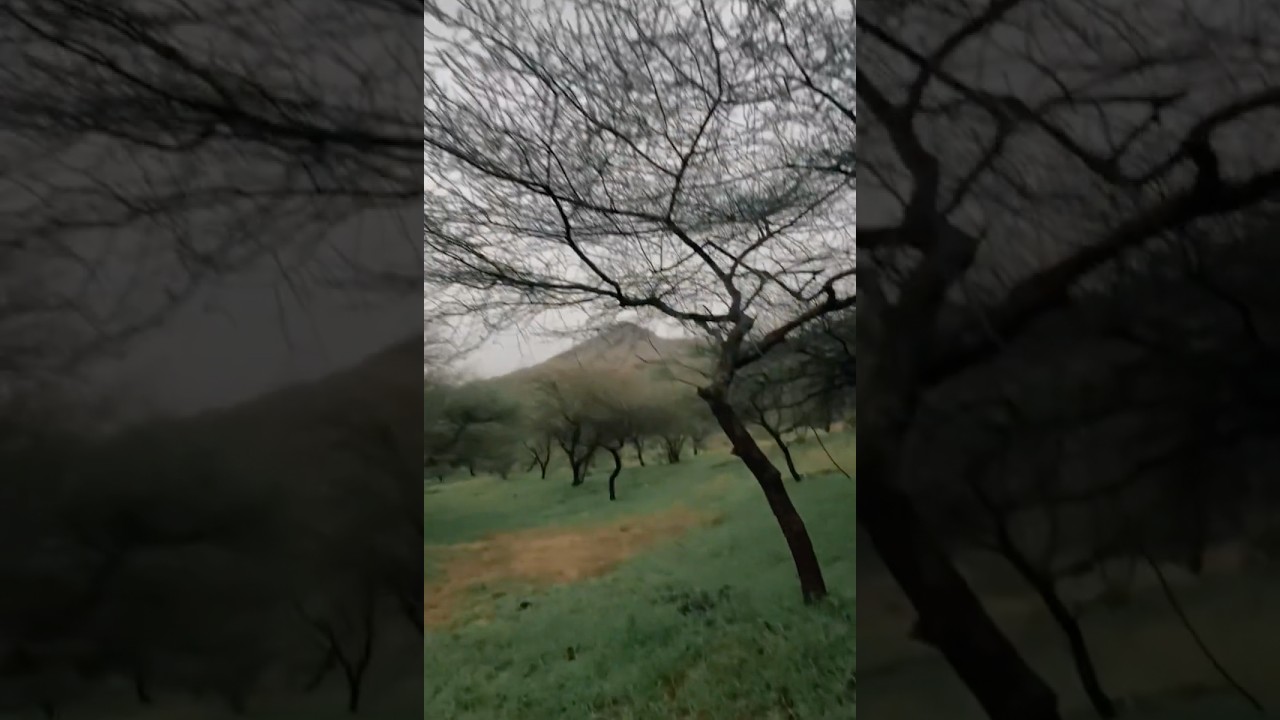 Nature aesthetic🍃 squid game 🙃 #barmer #hills #pahadi #rain