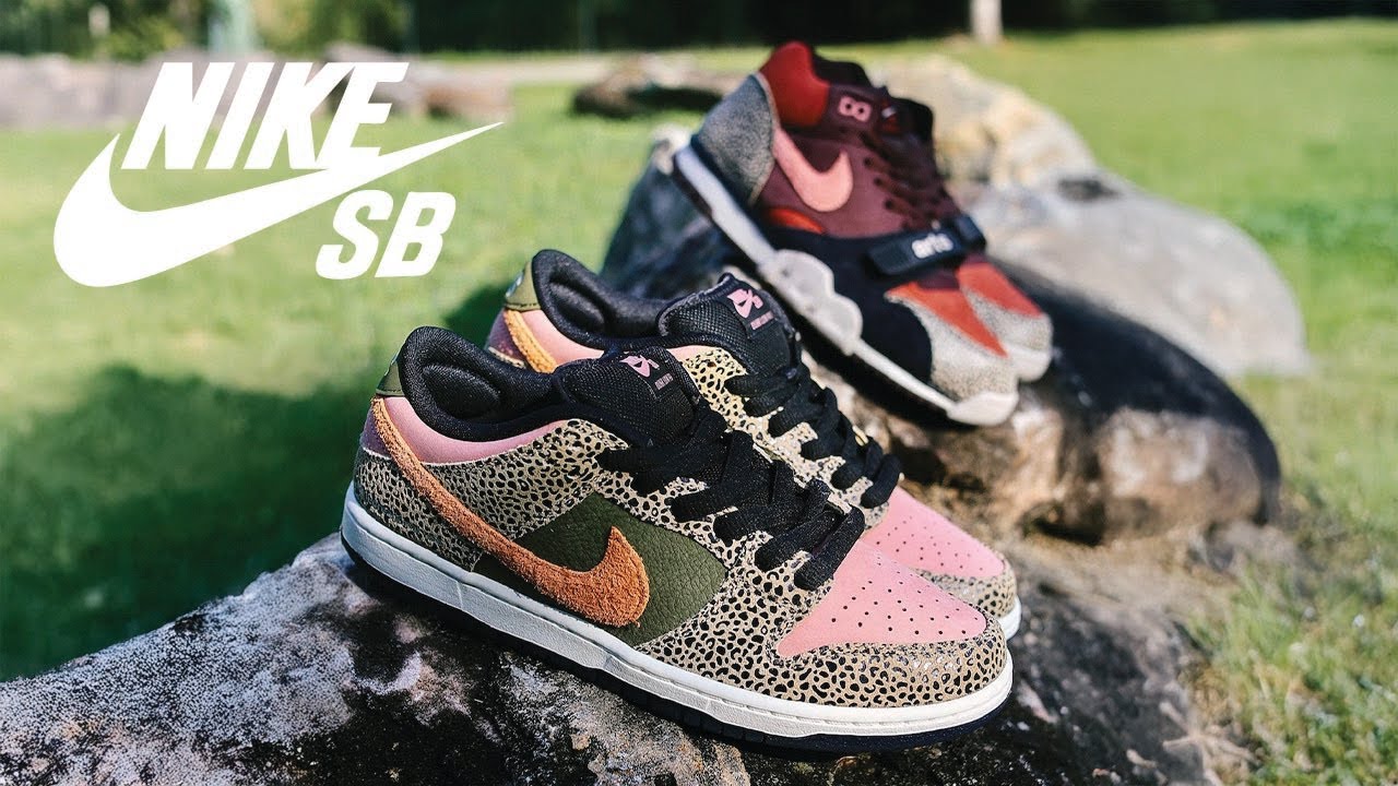 Arts and Rec Dunk Low QS by NikeSB