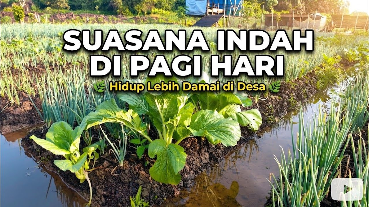 KEINDAHAN DI PEMUKIMAN TRANSMIGRASI