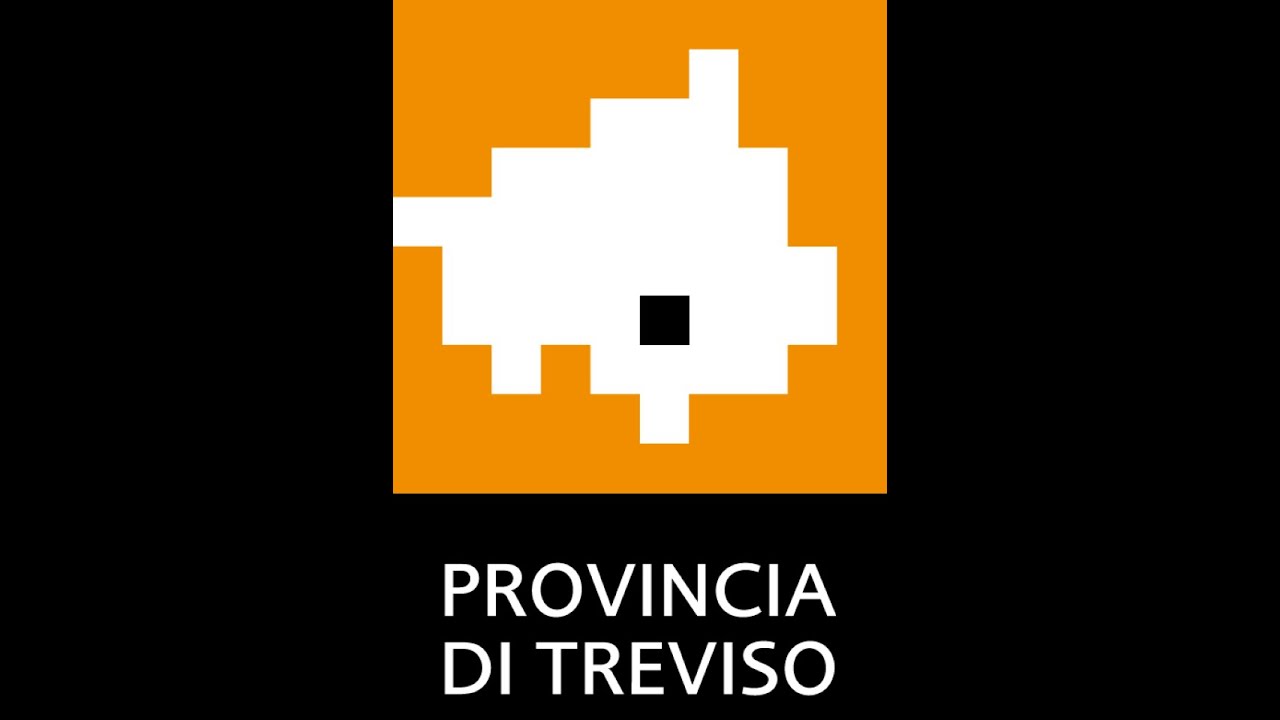Consiglio Provinciale Treviso