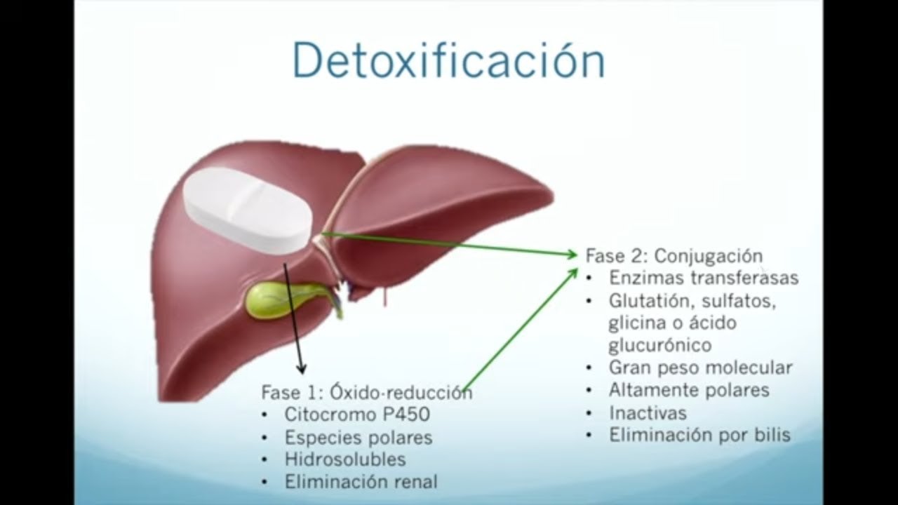Medicamentos que causan daño al hígado