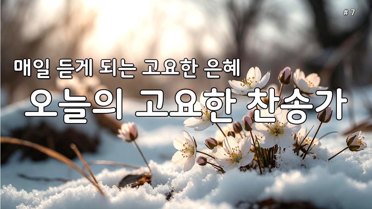 【 은빛찬송 | 깊은 위로 】매일 듣는 평안한 찬송가 모음 🕊️ 마음의 쉼을 주는 고요한 묵상·기도 찬양 7 #찬송가 #은혜찬송가 #조용한찬송가 #찬송연속듣기 #새벽기도 #보혈찬송