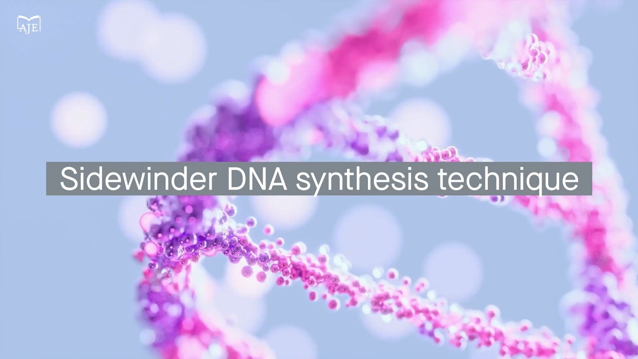 Novel Sidewinder technique synthesizes long DNA with efficiency, accuracy, and complexity